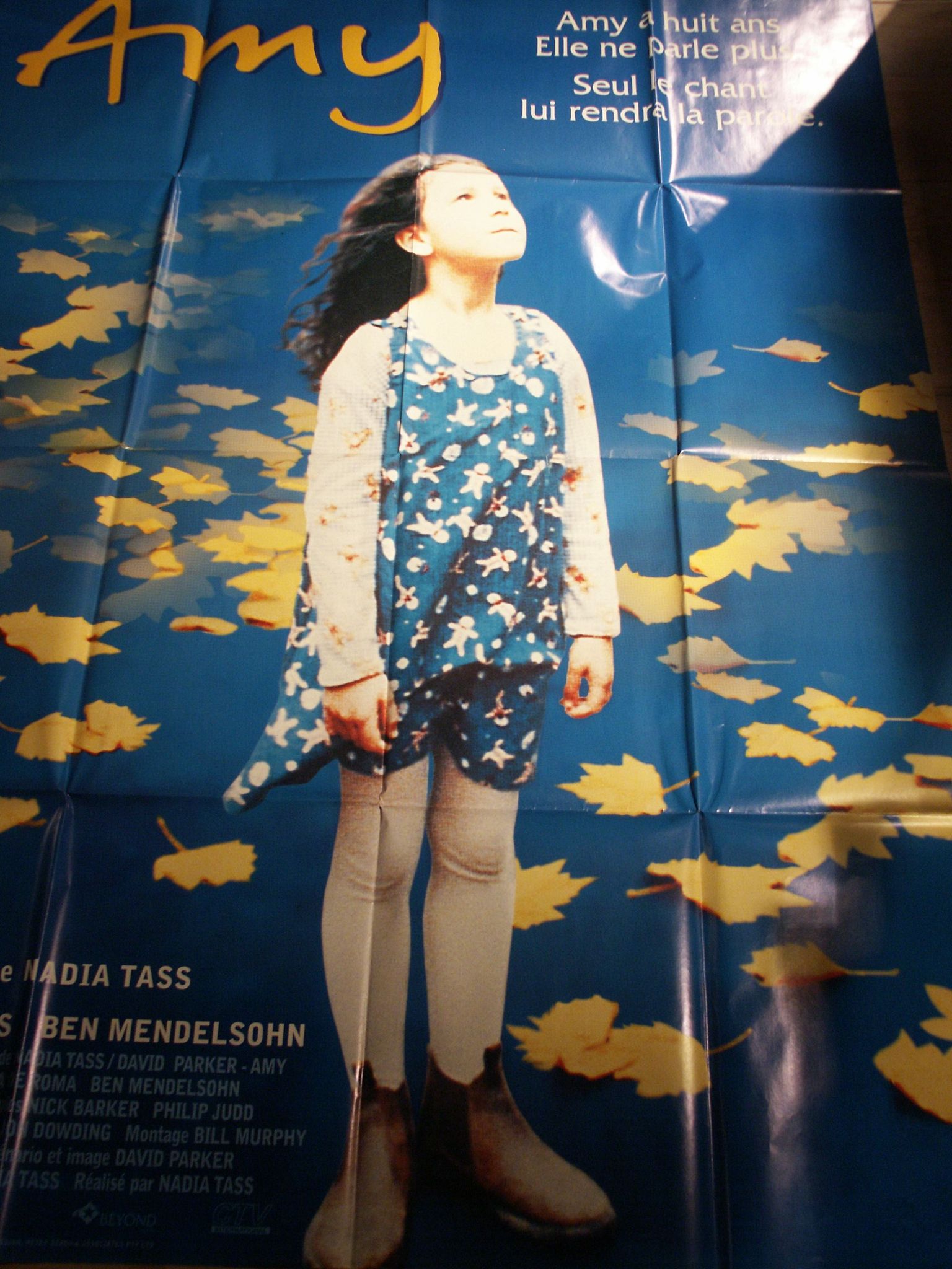 Amy 160 x 120 original folded poster