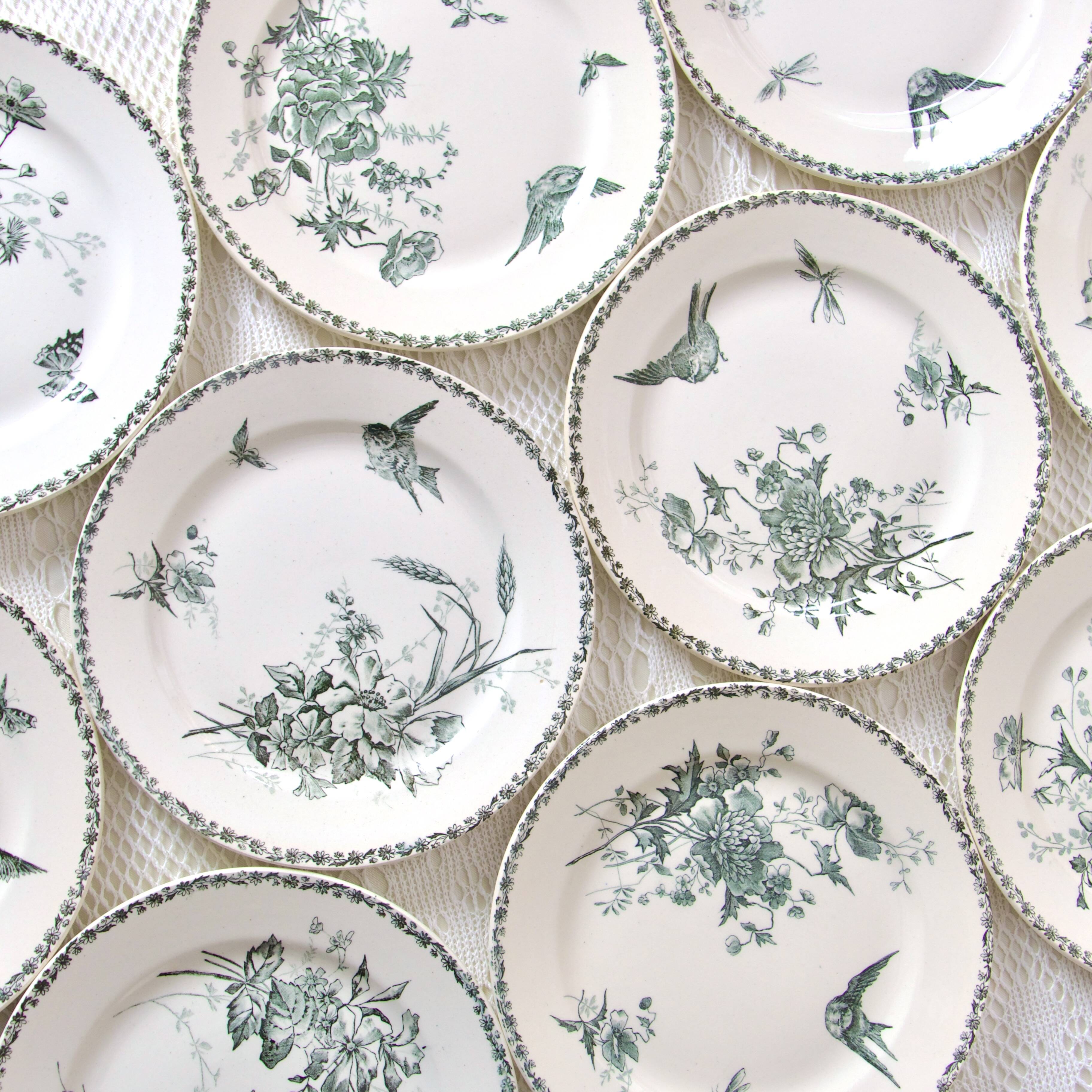 10 ASSIETTES RÉUTILISABLE BAROQUE 19CM VERT D'EAU