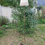 Lampadaire en laiton tripode