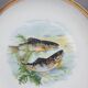 Set 12 plates porcelain fish edge laurel gold Bernardaud