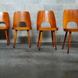Suite of 4 chairs 515 by Oswald Haerdtl for TON