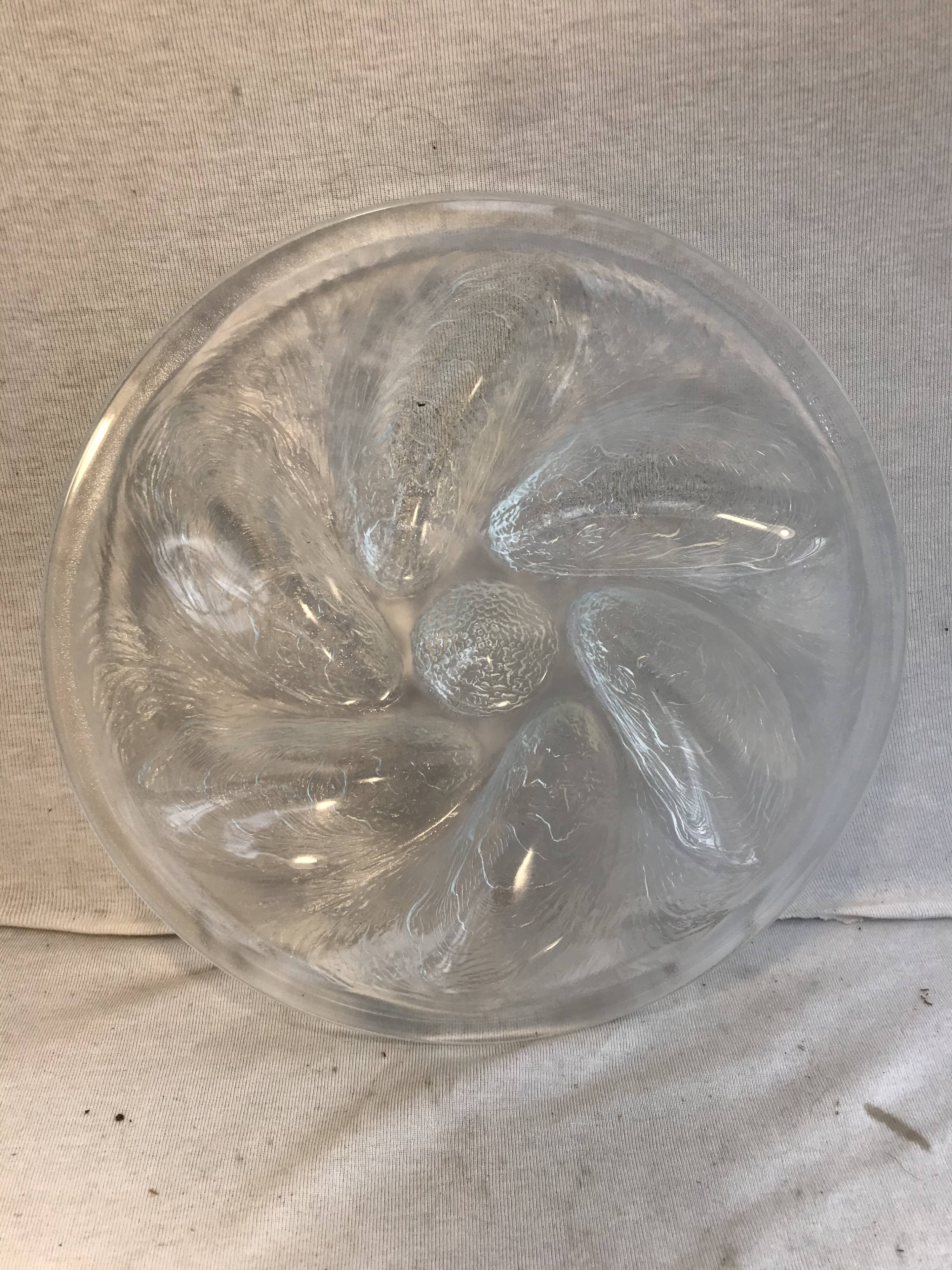 Series 6 old oyster plates Arcoroc moulded glass - vintage box