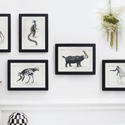 Lithograph chimeric engraving animal - the cariapocampus
