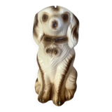 Piggy bank to break dog