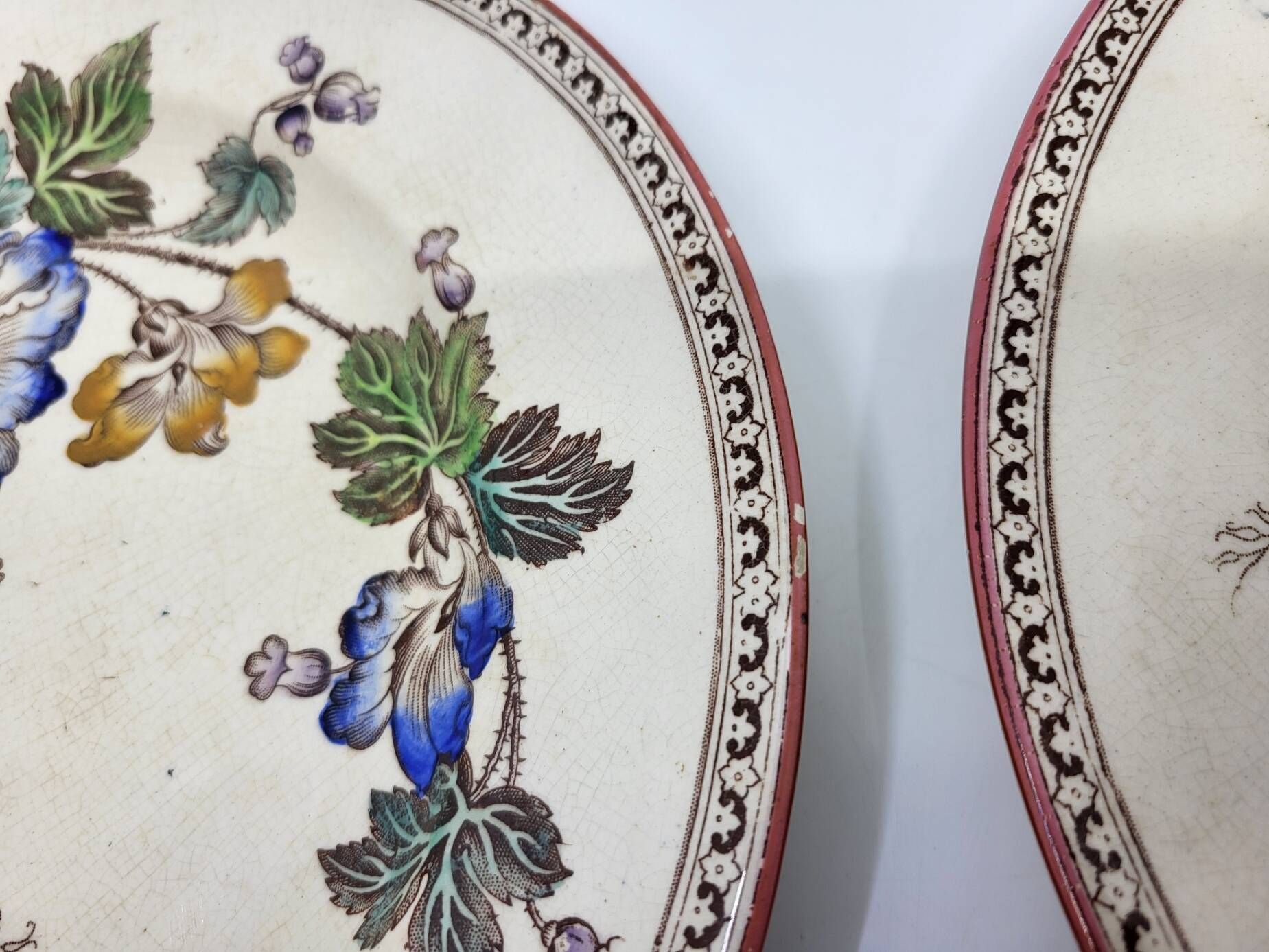 Victorian plate set by Brownfield & Sons model "Texas" England 1880