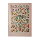 Lithographie sur les fruits de 1928