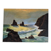 Marine painting: coast and seagulls