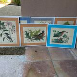 Frames