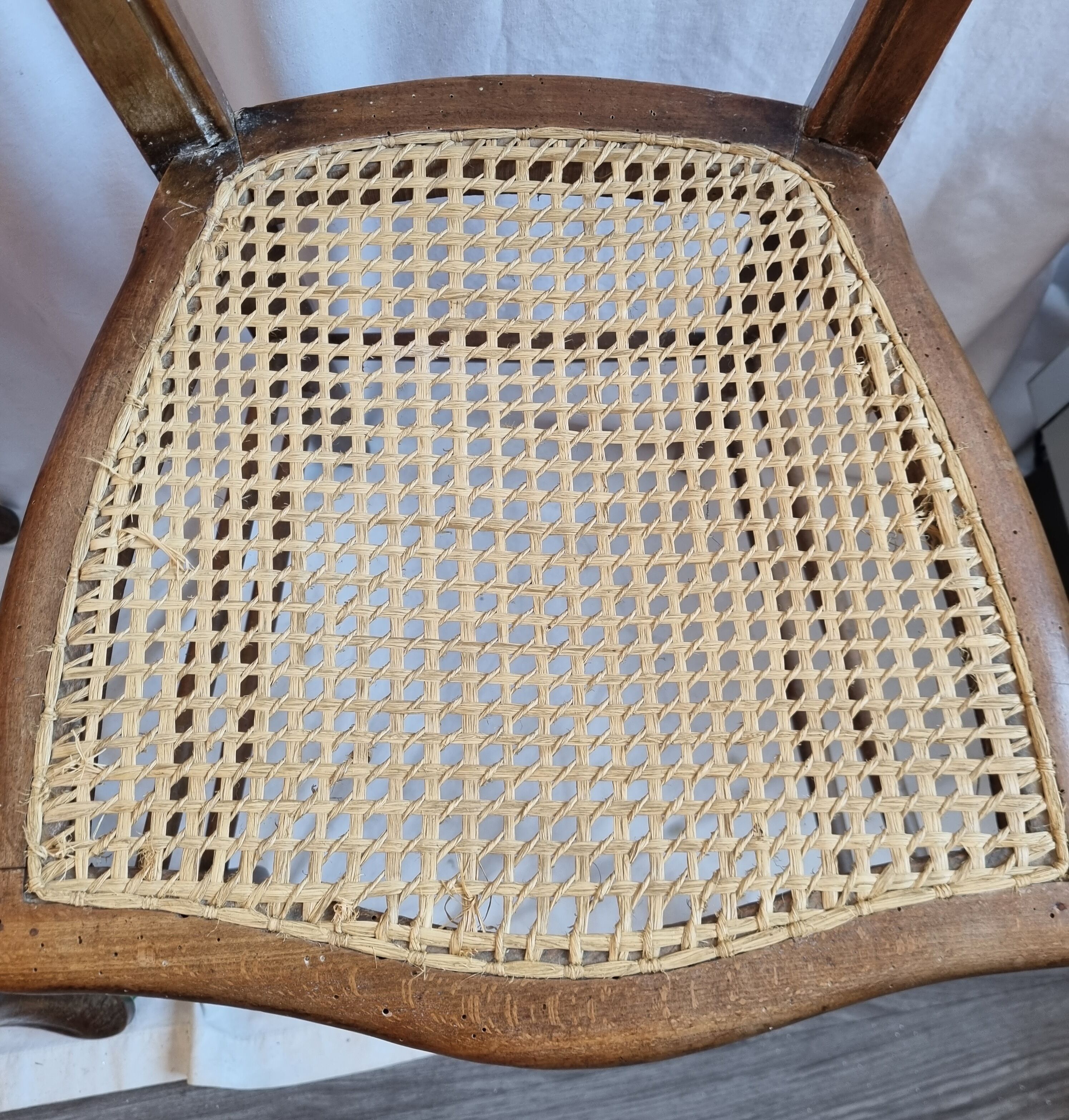 2 rattan chairs early twentieth century