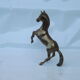 Golden bronze horse