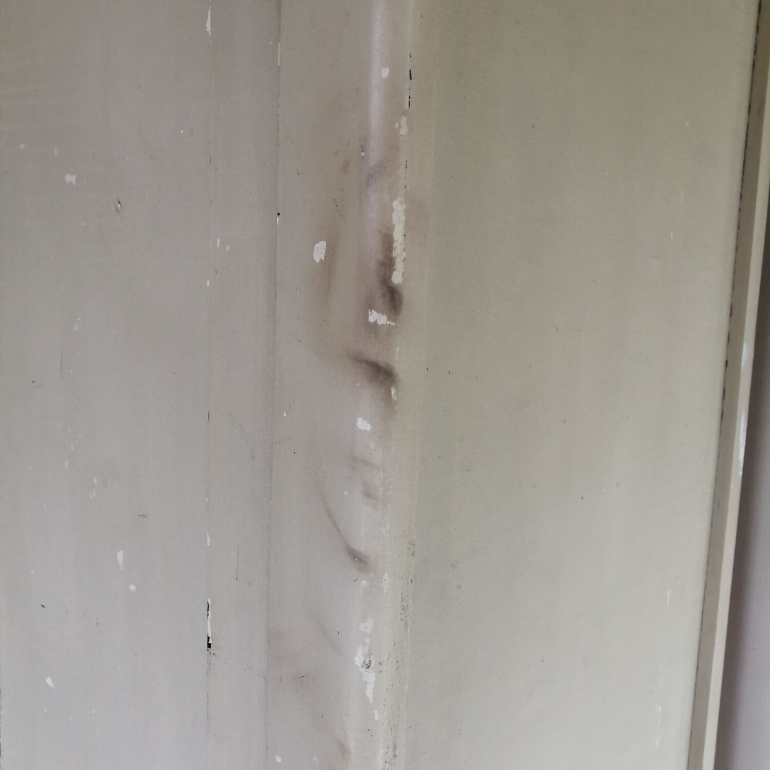 Parisian wardrobe 50s