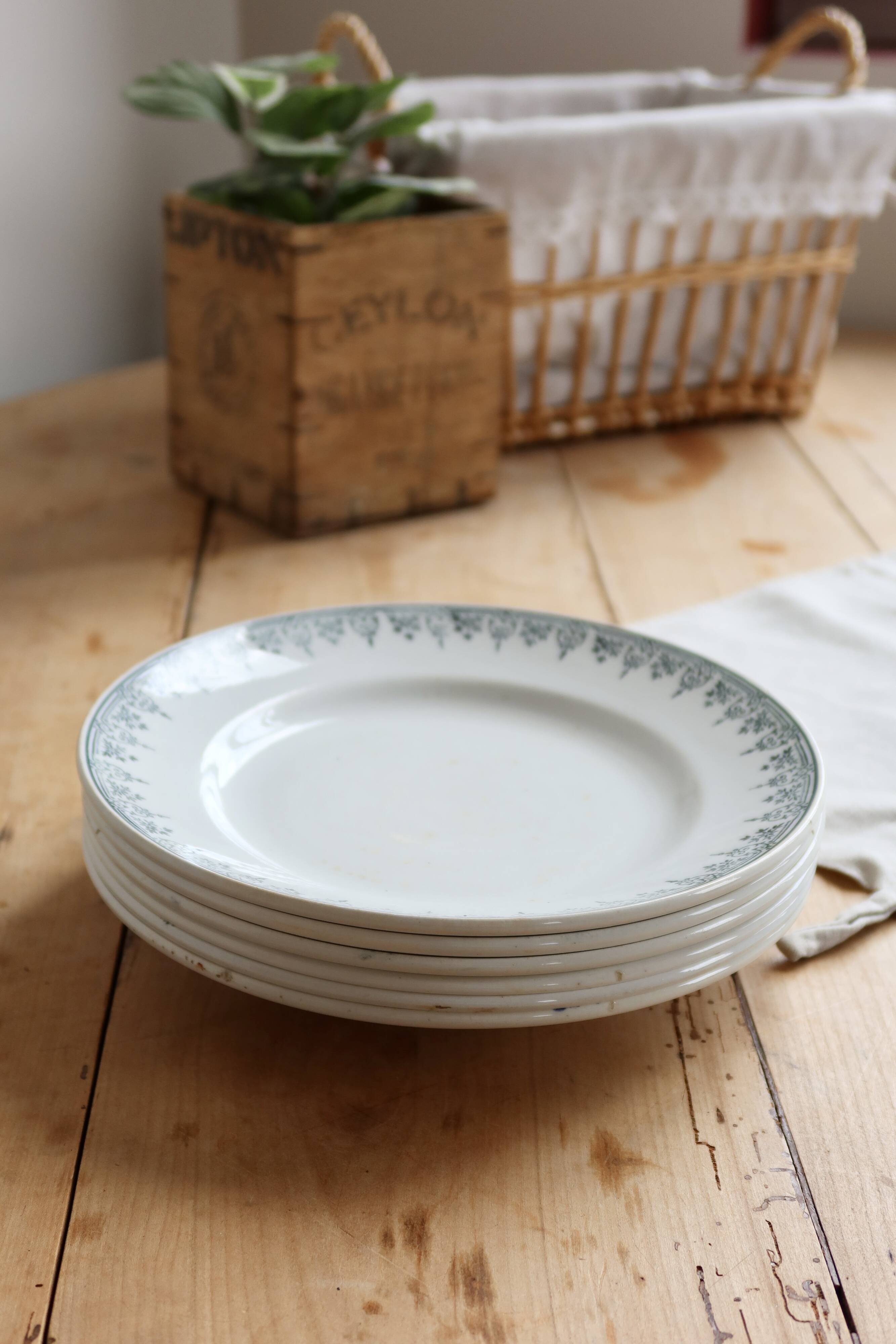 6 vintage plates from Terre de Ter Saint Amandinoise, Saint Amand model 4500.