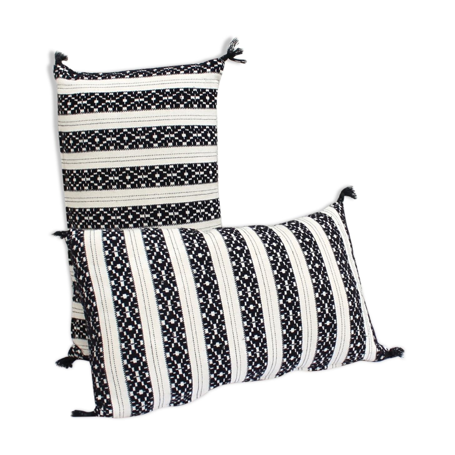 Set of 2 rectangular cushions