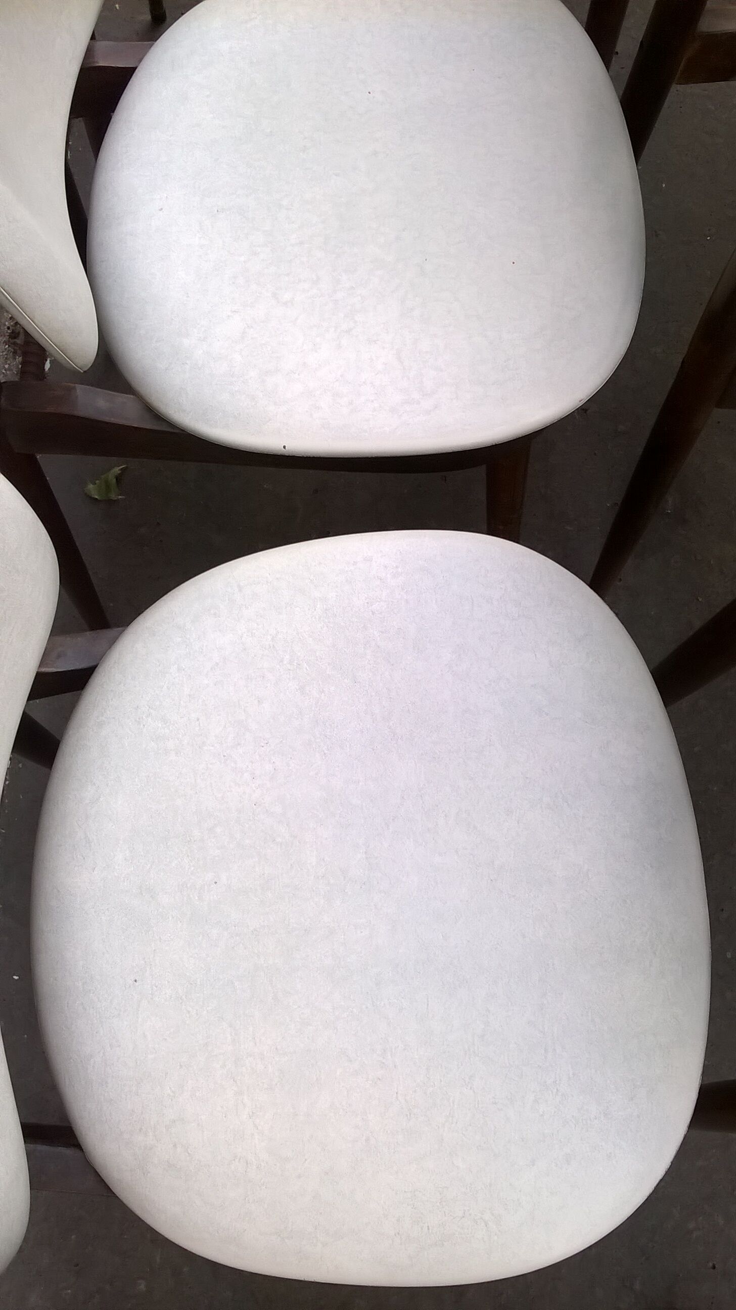 six Baumann Chair model Pegasus