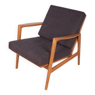 Model 300-139 Armchair from Swarzędzka Factory, 1960s