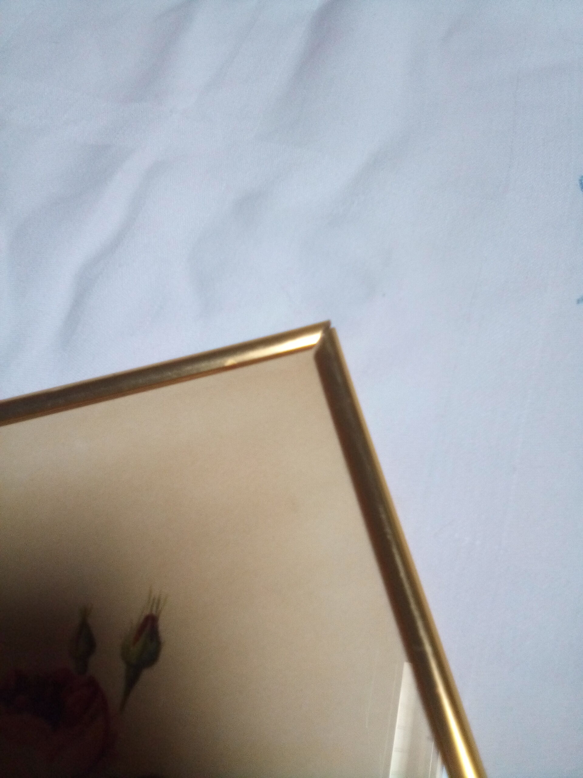 Dreaded botanical plank