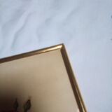 Dreaded botanical plank