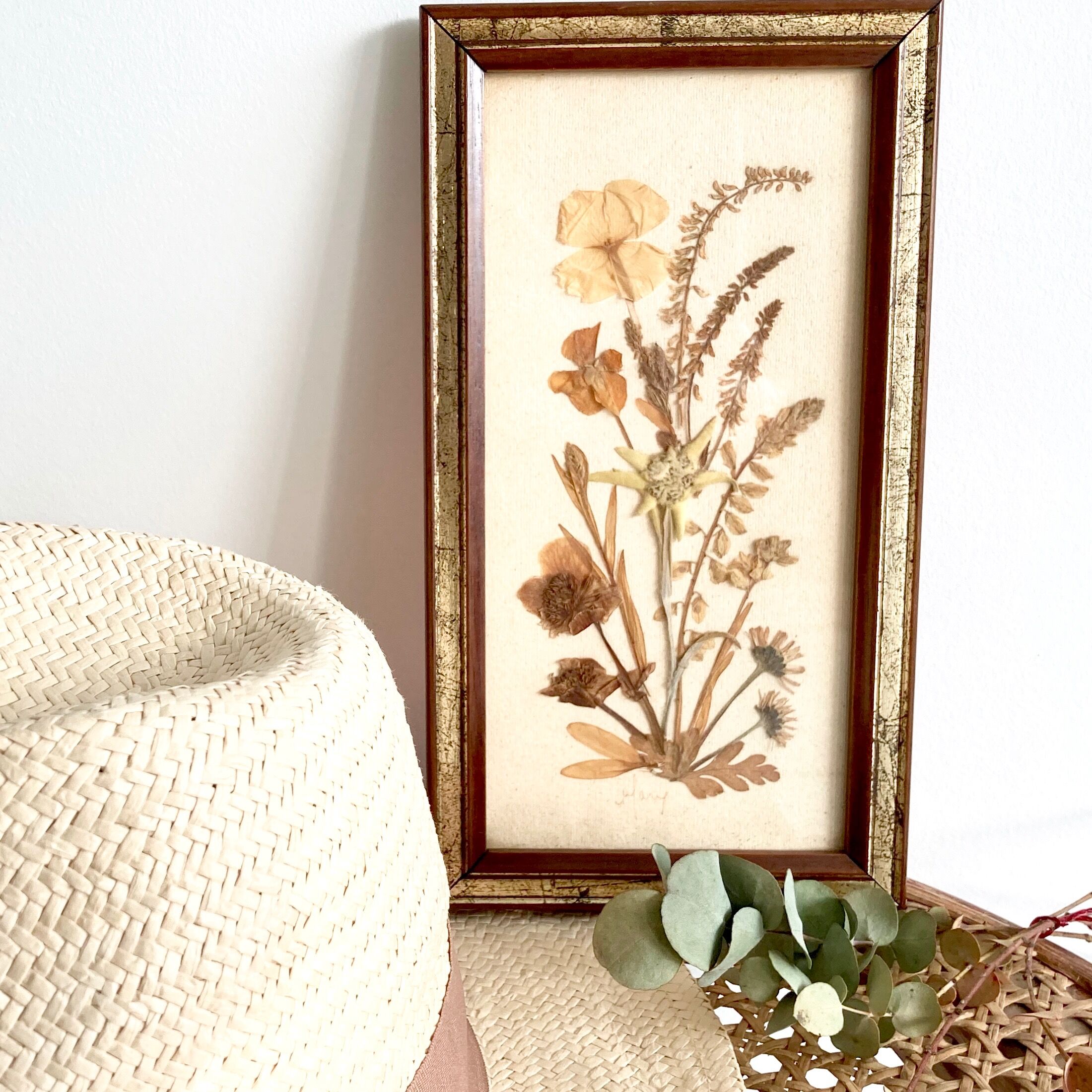 Botanical herbarium framed