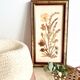 Botanical herbarium framed