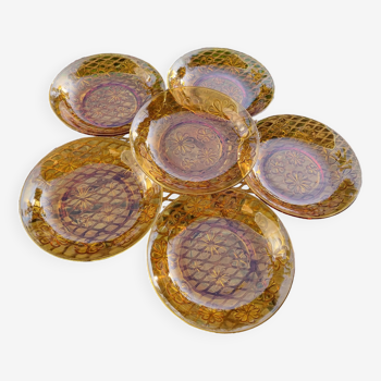 6 vintage flower plates in amber glass from Vereco France
