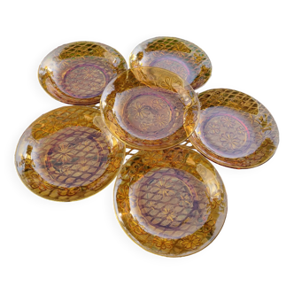 6 vintage flower plates in amber glass from Vereco France