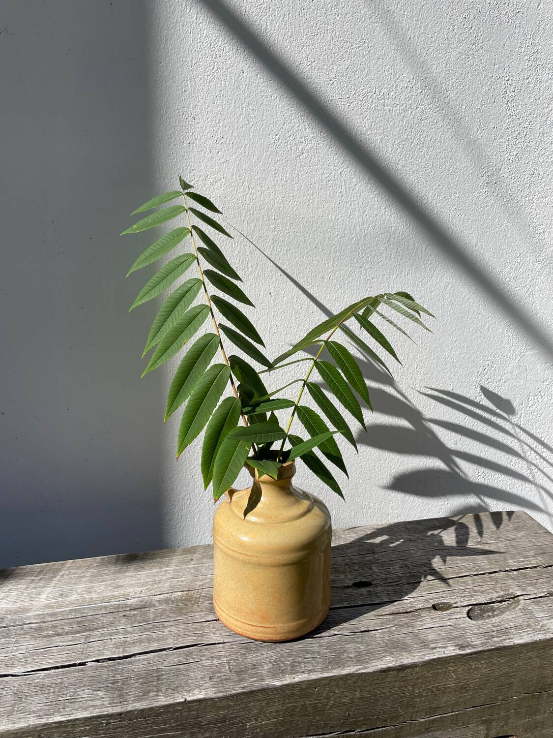 Antique glazed terracotta jug vase