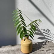 Antique glazed terracotta jug vase