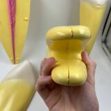 Large size dental model 3 teeth