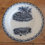 Standing cut or display Pexonne service Chasse
