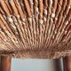 Pair of vintage armchairs in solid wood and straw – Georges Robert
