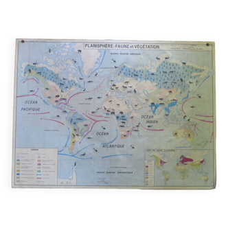 MDI fauna and vegetation school map / planisphere