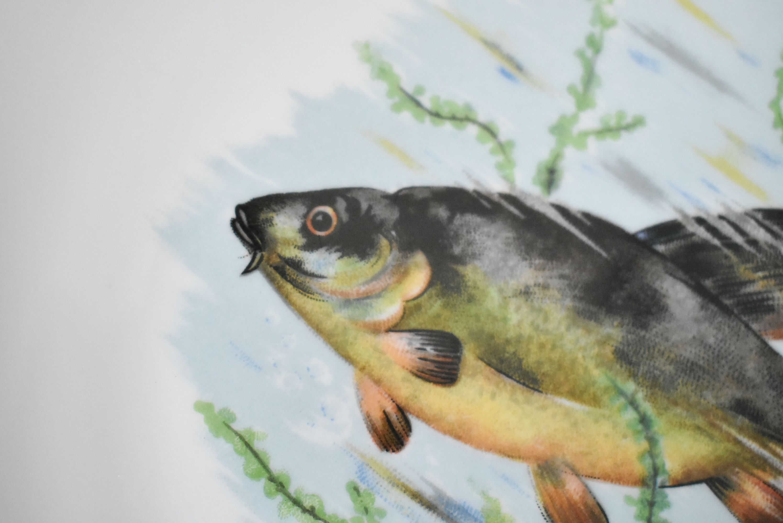 Rare: fish set 11 pieces, Société Française de Porcelaine