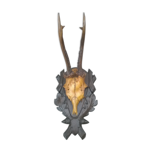 Crane chevreuil taxidermie
