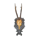 Crane chevreuil taxidermie