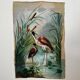 Huile sur toile nature morte représentant des flamands roses