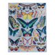 Exotic Butterflies: original naturalist plate, 1930 Adolphe Millot