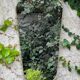 Antique free form mirror vintage design rearview mirror 60 - 33.5 x 61 cm