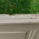 Low wall panelling 8.65m panelled with mouldings wainscoting skirting.