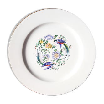 Large bird of paradise presentation plate