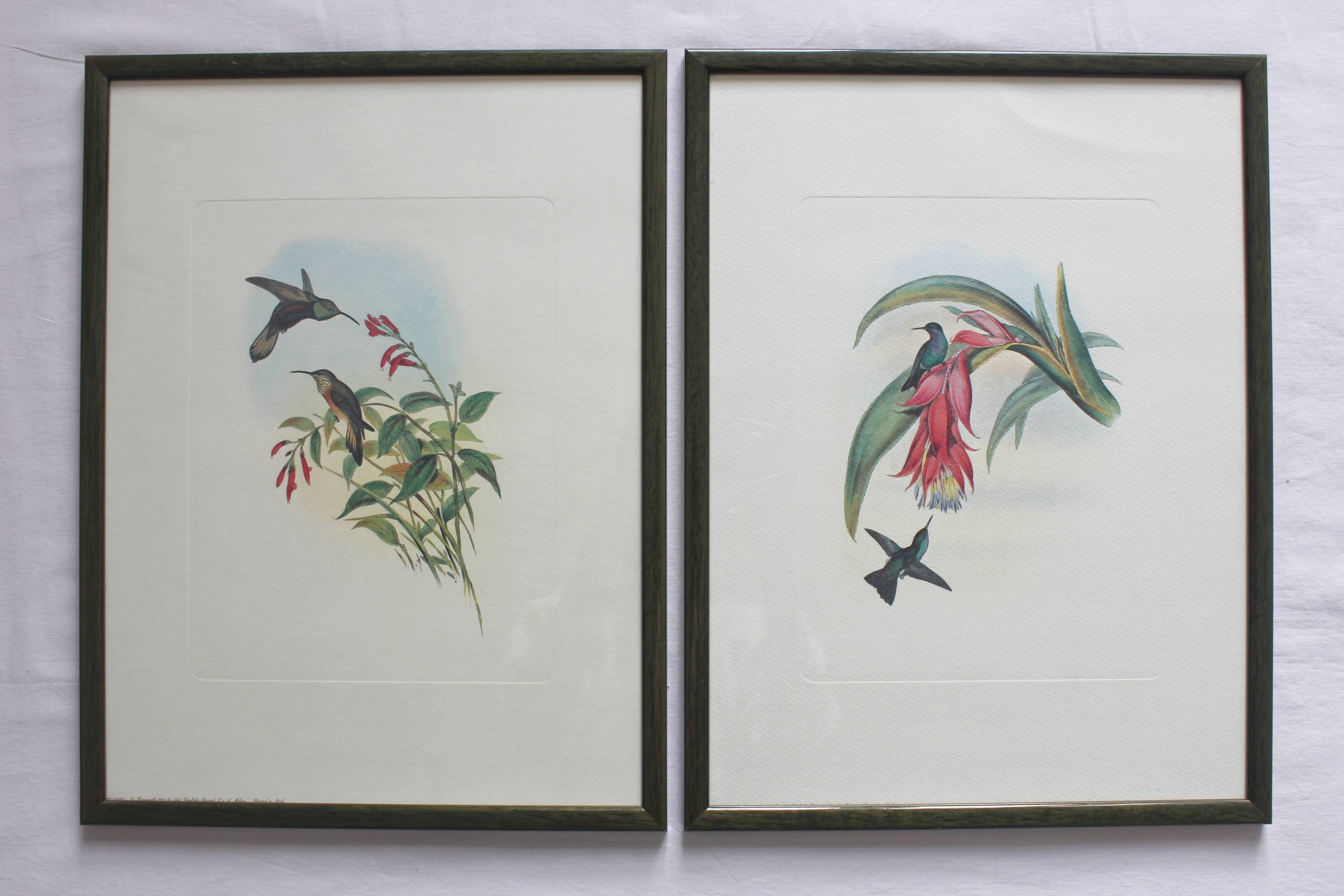 2 framed bird lithographs, vintage watercolor posters
