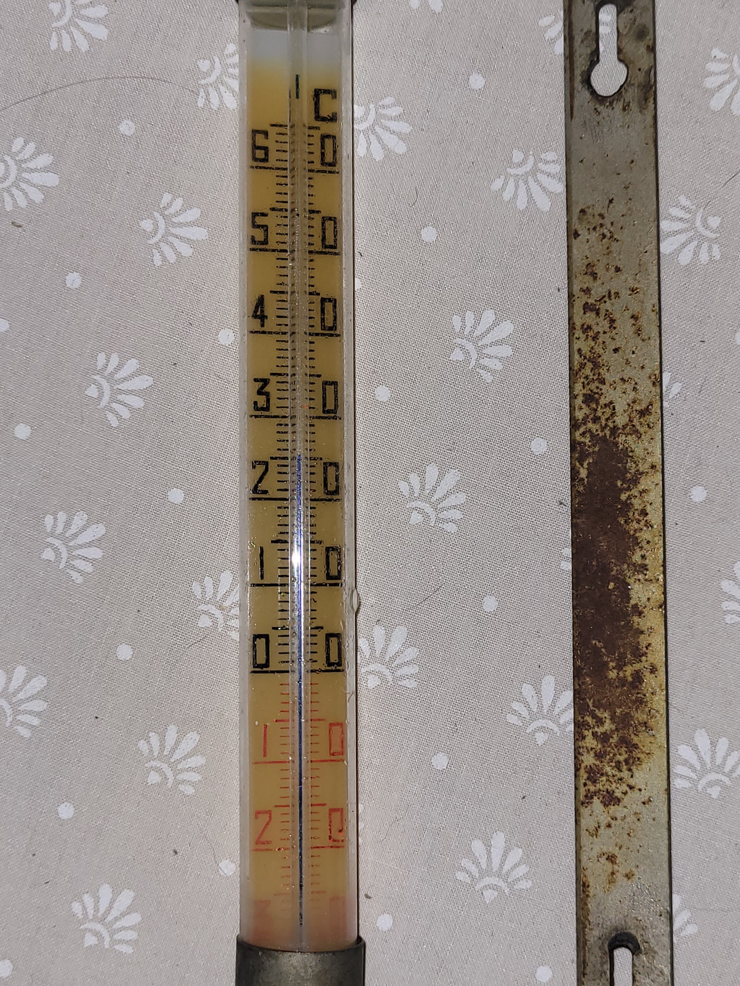 Wall-mounted industrial thermometer