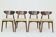 Set of 4 Nebula Green Scandinavian Design Dining Chairs