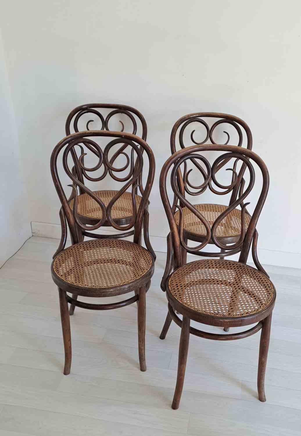 Bentwood chairs made by Sautto and Liberale