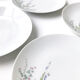 Set of 8 large vintage porcelain plates