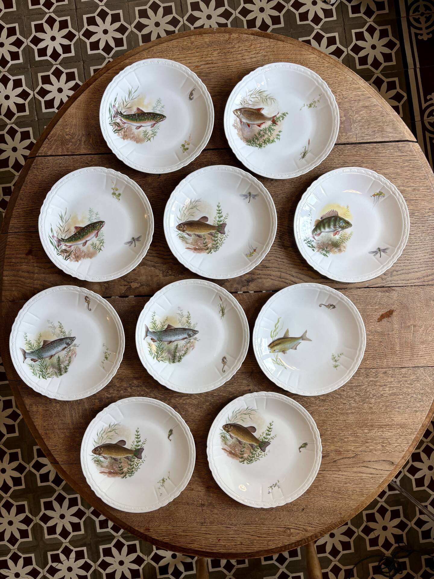 Set of 10 antique flat plates in porcelain, decorated with fish.