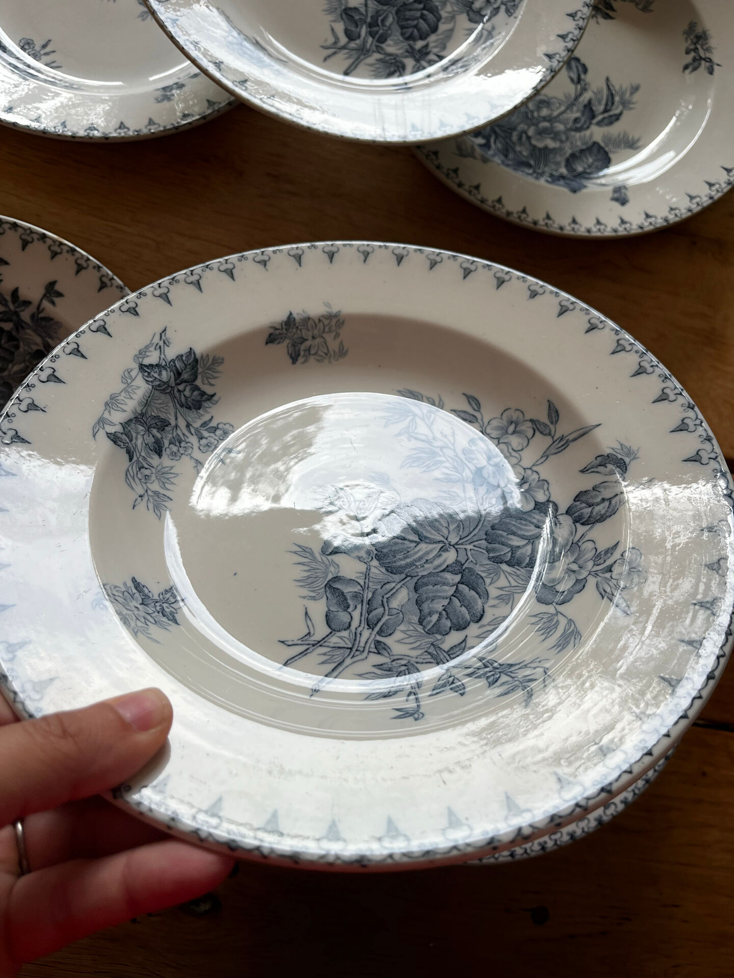 6 assiettes terre de fer 