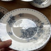 6 assiettes terre de fer 