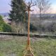 Porte manteau perroquet baumann
