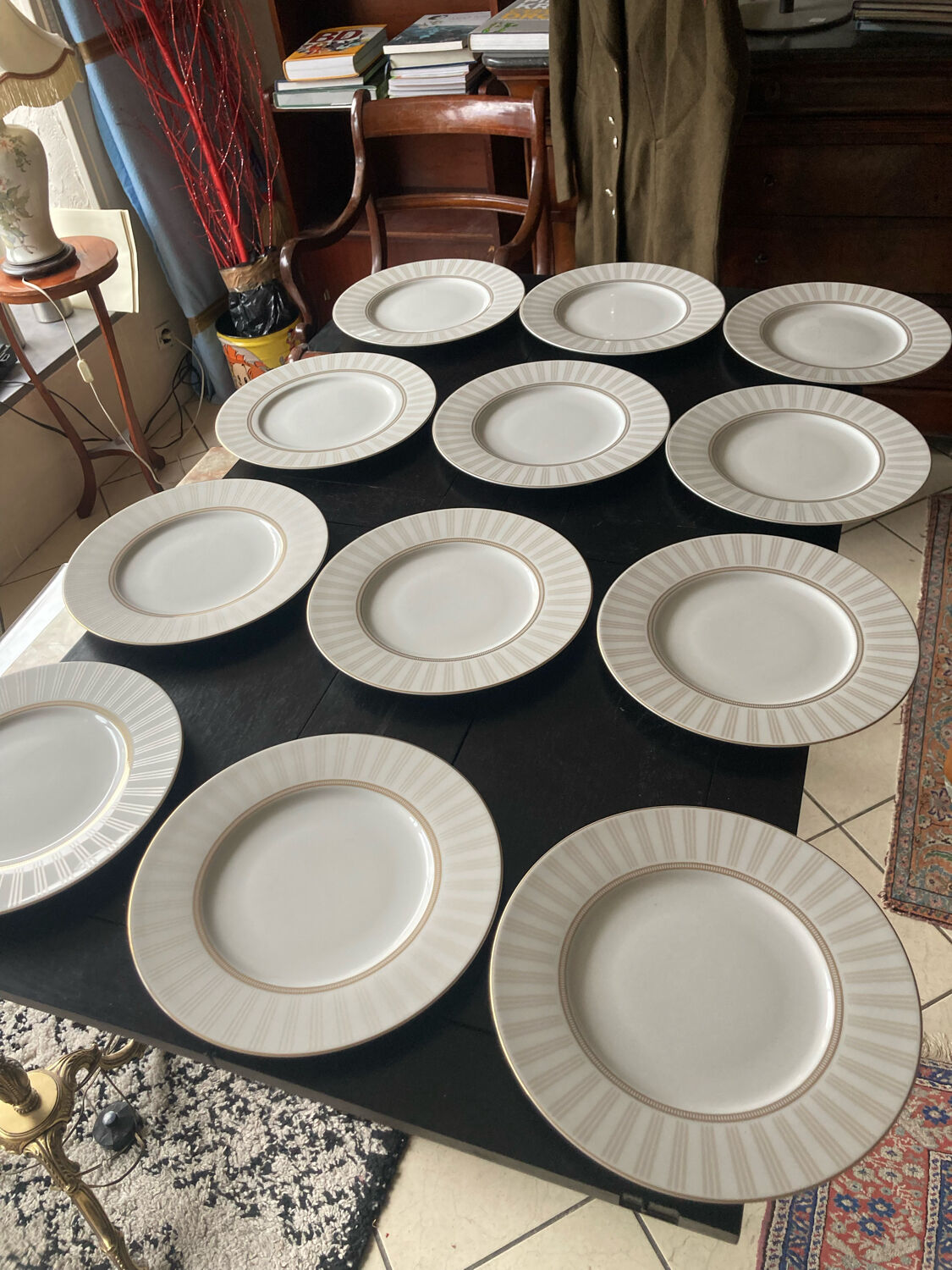 Guy Degrenne porcelain plates