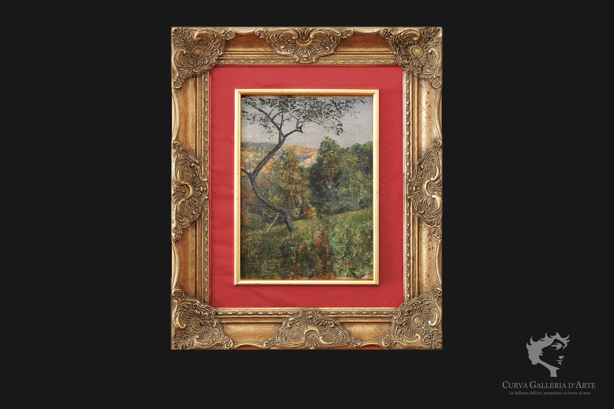 Monte Bignone, Sanremo Giuseppe Ferdinando Piana  (Ceriana 1864 – Bordighera 1956)